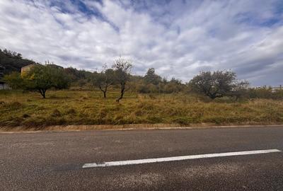 Teren Construcții intravilan de 2600 mp, în Centura