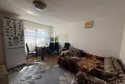 Casa plan parter, 400 mp teren, 51,86 mp utili, Brestei - 5