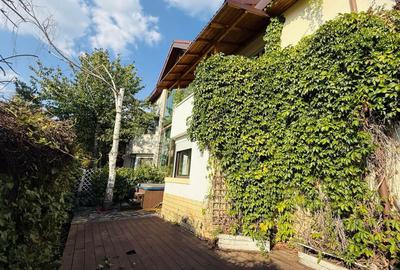 Vanzare  Vila   Pipera  Iancu de Nicolaie - 2