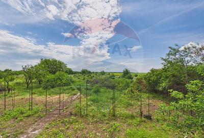 Casă 65 mp + teren 4000 mp, livadă, Butimanu - 27