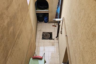 SPATIU COMERCIAL / DE LOCUIT/ MIXT - CAPITOL - 10