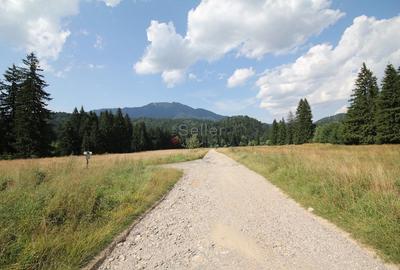 Poiana lui Manole - teren Intravilan - 18