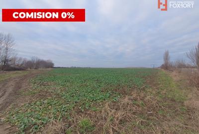 Comision 0% Teren extravilan agricol 21,32 ha sau intravilan cu PUZ aprobat - 20