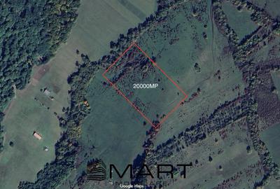 Teren extravilan agricol + fanata 21000mp Cisnadie - 4