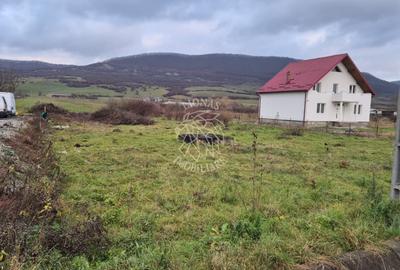 Teren 5800 mp la DN17 cu utilitati-Sieu Magherus - 3