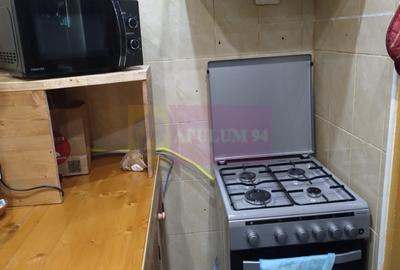 Apartament frumos și cochet cu centrală proprie aproape de Parcul IOR - 15