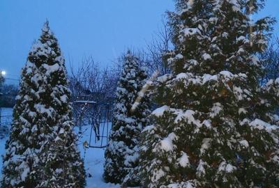 FARA COMISIOANE casa cu 6 camere 2 bucatarii P+1 TIGLA PISCINA BECI GARAJ - 22