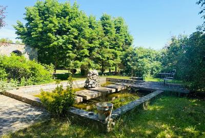 DOM00475 - Vila cu teren 3270 mp si piscina in Corbeanca - 6