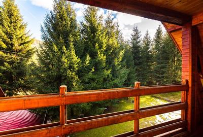 Cabane cu 10 camere Arieseni - 14