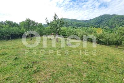 Teren de vânzare | Suprafață 10.040 mp | 2.500 € / ar | Strada Nucului - 7