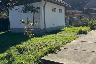 Direct proprietar, vand casa in orasel de munte, Brezoi, jud. Valcea - 3