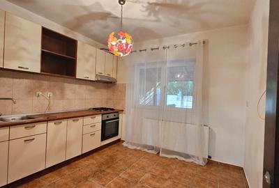 INCHIRIERE VILA 3 CAMERE ZONA IANCU NICOLAE! - 10