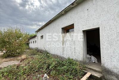 Hala de productie sau pentru depozitare Ortisoara - 2