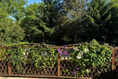 Vilă Bragadiru lângă Sector 6, 5 camere, 210 mp, teren 2000 mp, piscină - 11