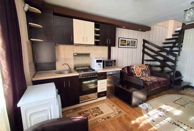 Apartament 2 camere tip duplex 54 MP - mobilat - Nicolina 1 - 1