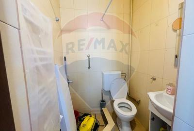Casă / Vilă cu 6 camere de închiriat în zona Calea Dumbravii - 6