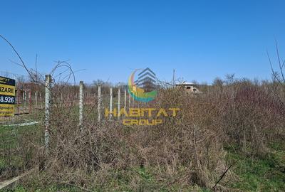 Magurele Campul Cu Maci 1200.MP Teren Constructii Vile - 1