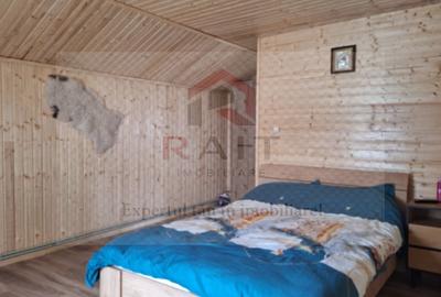 Casa Vacanta Rucar Saticu de Jos Arges - 26