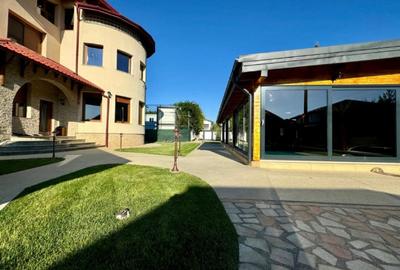 EXCEPTIONAL! VILA SUPERBA IN DOMNESTI - 1