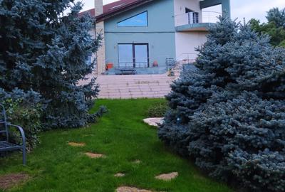 Mogosoaia vila robusta cu view unic catre palat si parc,ponton pe lac,dendrariu - 8