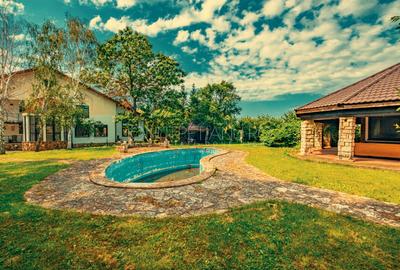 Casa superba cu vedere la lac in Izvorani – piscina, natura,si potential imens! - 12