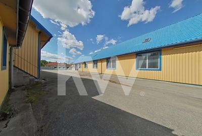 Spațiu comercial, 650 mp în Șercăița