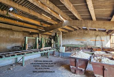 Complex imobiliar format din cladiri si constructii industriale+teren intravilan - 10