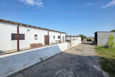 Ferma si casa de vanzare - teren intravilan, la 20min de Constanta! - 16