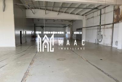 Spațiu industrial 1000mp | Acces tir | Teren 2500mp | Selimbar - 3