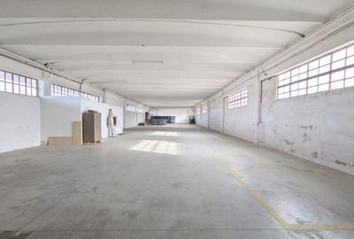 Hala + Platforma betonata - Zona de sud - Comision 0% - 1