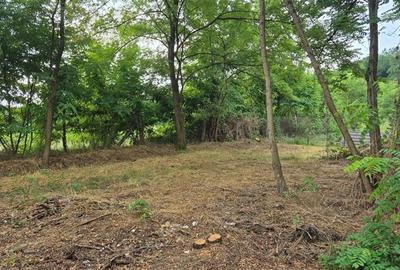 TEREN IDEAL PENTRU A-FRAME SAU UN CONTAINER MODERN - 3