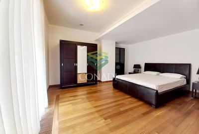 Apartament tip penthouse cu 3 camere de inchiriat Nordului / Herastrau - 11