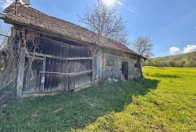 Casa traditionala,zona pitoreasca,domeniu de 3.400 mp,Suveica,Acatari,Mures - 20