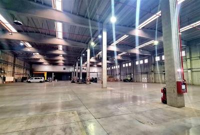 Hala industriala de vanzare, Timisoara Freidorf,0 COMISION - 3