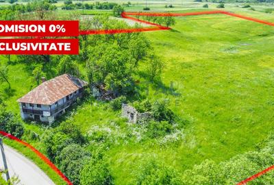 Teren Construcții intravilan de 18400 mp, în Codor