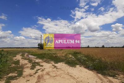 Teren 715mp în Snagov lângă Equestria - 48