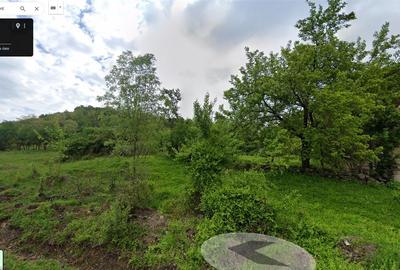 Loc de casa 1080 mp in Gurahont, cart. Iosasel - 5