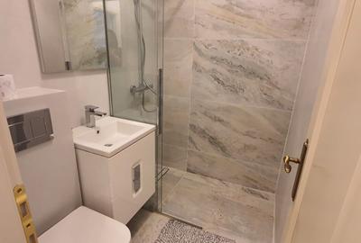 Apartament de inchiriat 4 camere decomandate zona Copou-Parcul Copou - 8