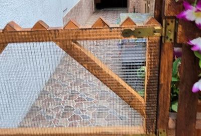 Casa si Teren - Roman, str. Miron Costin, nr. 46 - 9