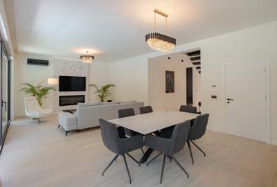 Modern Villa Pipera - Erou Iancu Nicolae - 6