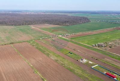 Vanzare teren intravilan 500 mp Sabareni /  Strada Orhideelor - 15