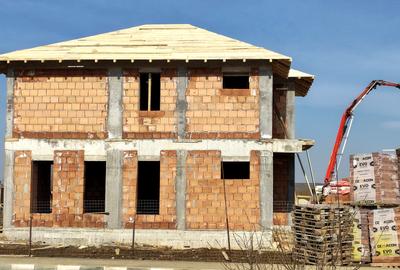 Vile individuale padurea Rosu - 12