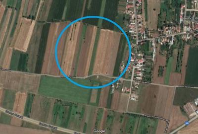 Teren intravilan Caracal / Str. Salcamului, 3.585 mp, 9 EUR / mp, comision 0% - 1