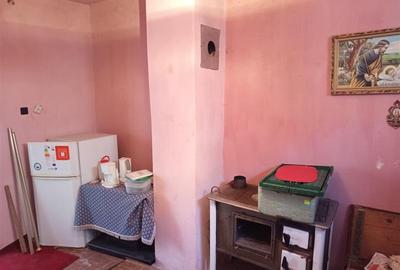 Iam, Casa 5 Camere, Gospodarie, 1439mp Teren, Pret Negociabil - 30