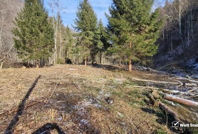 Teren Intravilan de Vânzare – 3279 MP – Coada Lacului Tarnița - 4