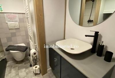 Apartament 60 Euro pe zi, amenajat in stil unic langa Primaria Arad - 20