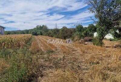 Teren Intravilan (2309 mp), situat in Turcinesti-Cartiu - 3