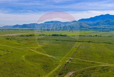Teren 1ha, extravilan Rasnov / Agricultură sau fermă/ COMISION 0% - 7