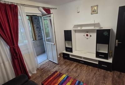 Apartament cu 2 camere - zona Alexandru cel Bun - Piata - Pet Friendly - 3