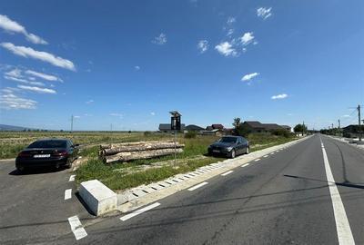 Teren in Golesti 9.848mp intravilan + extravilan  pret 6 euro / mp - 8